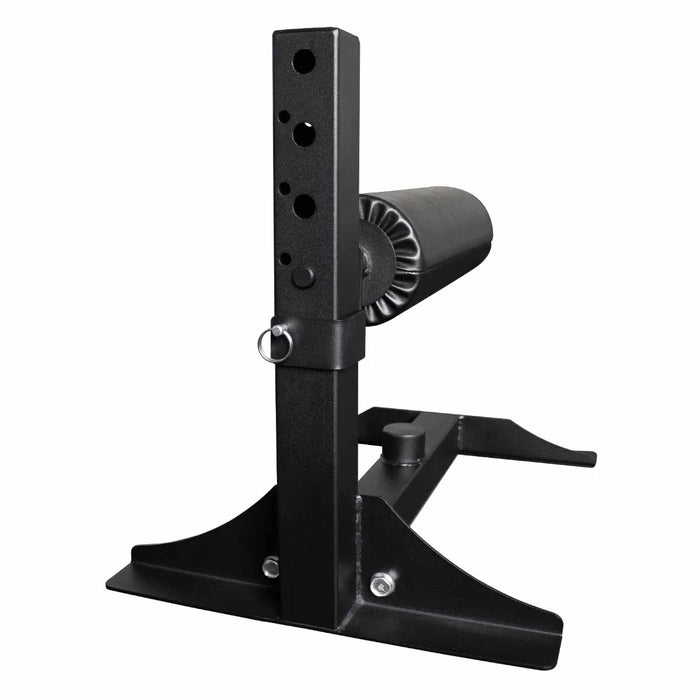 Single Leg Squat Stand