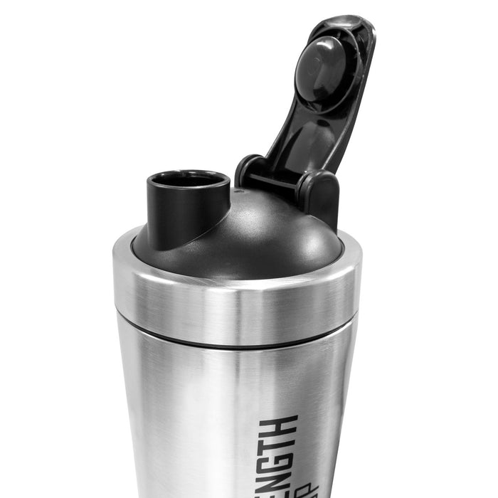Metal best sale shaker ball