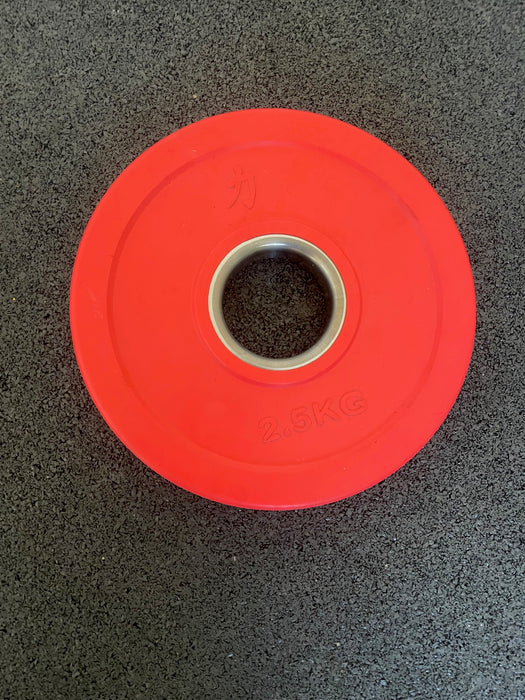 Rubber Coated Plate - Coloured 2.5kg - B-GRADE
