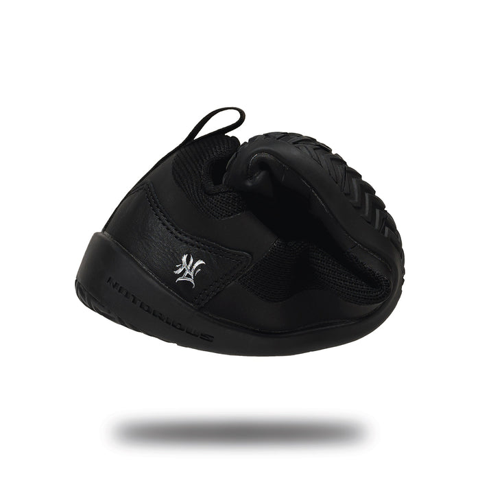 Notorious Lift - Radix - Stealth