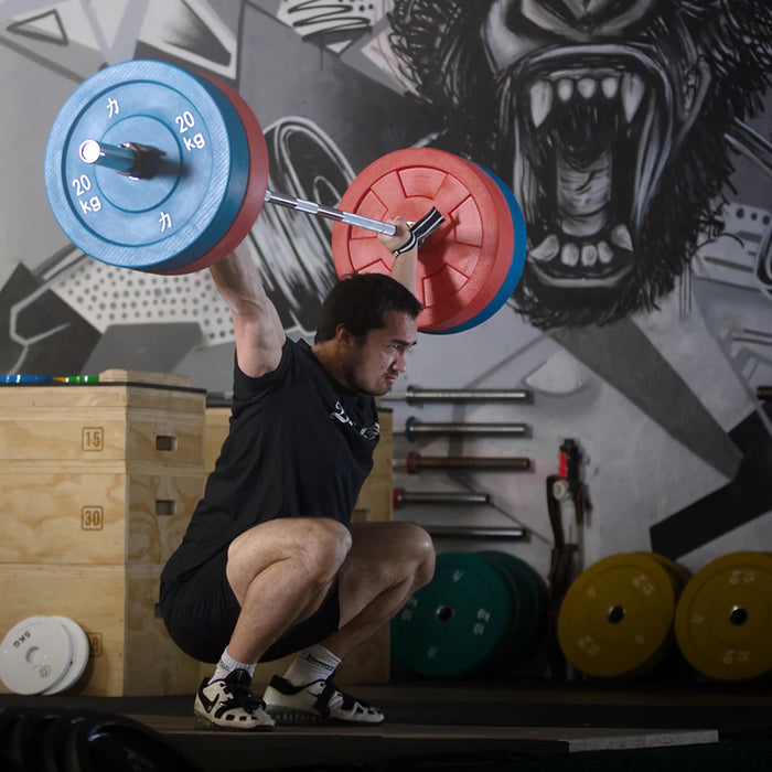 Riot Bumper Plates - Coloured