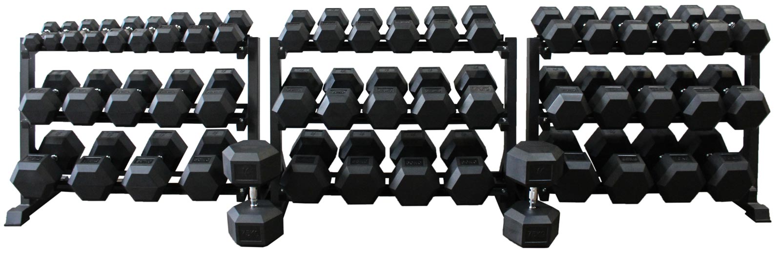 Hex Dumbbells 1kg - 75kg