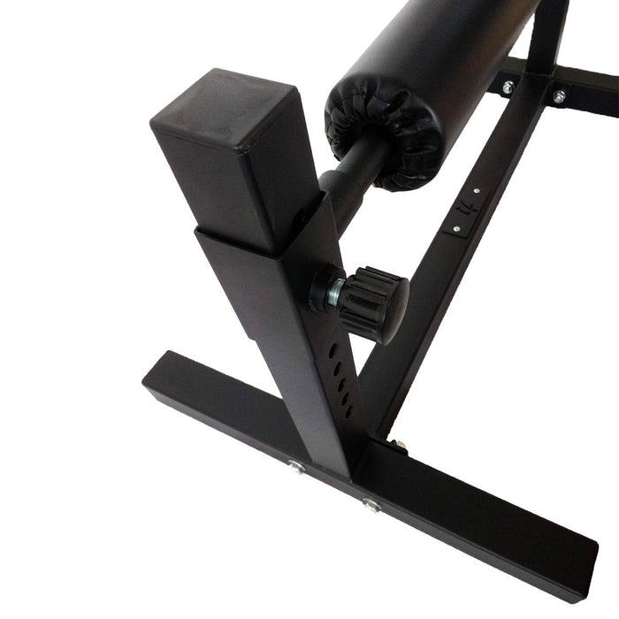 Single Leg Squat Stand