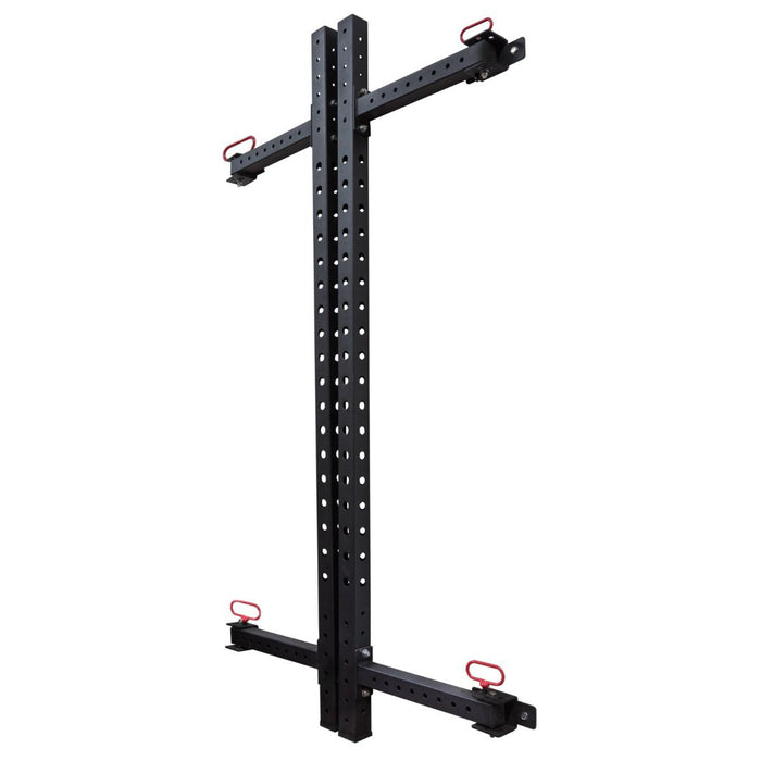 Riot Wall Mounted Foldable Rack (2.32m) — Strength Shop
